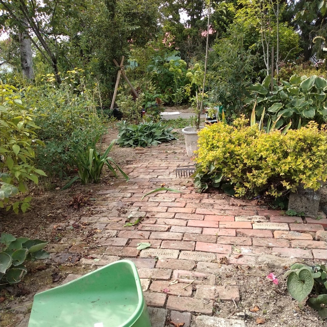 みんなの“クリエイティブツールだよね「Design Scramble」の仕掛け人がSTUDIOを熱弁！「後藤あゆみ」×「相樂園香」のデザイン談義Studio Blog