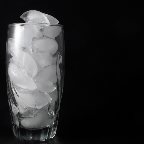 希少な〝人魚のグラス〟ニュース和歌山