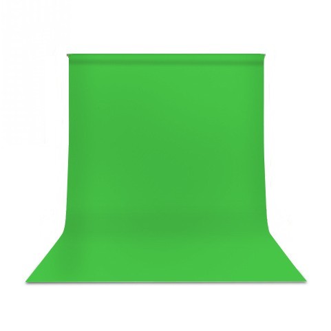 新緑の並木道 合成 白背景 写真素材800807- フォトライブラリ