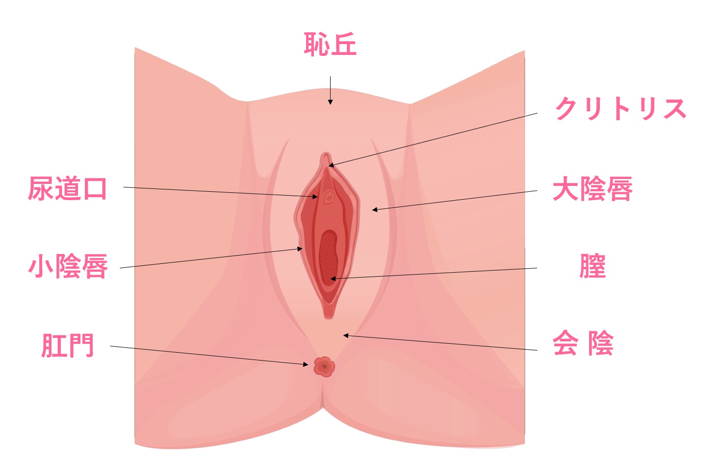 抜糸のいらない婦人科形成日帰り手術│大陰唇縮小｜ライフビューティークリニック大宮