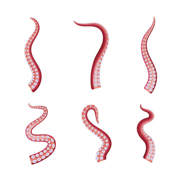 タコピーの原罪 フリーアイコンTikTok