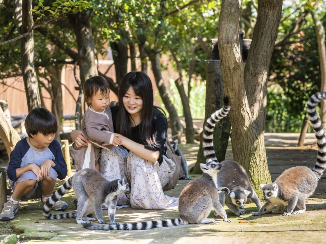 兵庫県 大人も楽しめる無料で遊べる 子供の遊び場・お出かけスポット