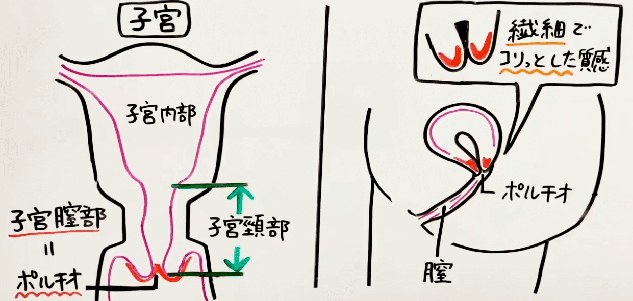 ［無修正高画質］ディルドで子宮口トントン ポルチオ逝きして膣内ヒクヒクが止まらない 朝の本気汁だくだくオナニー