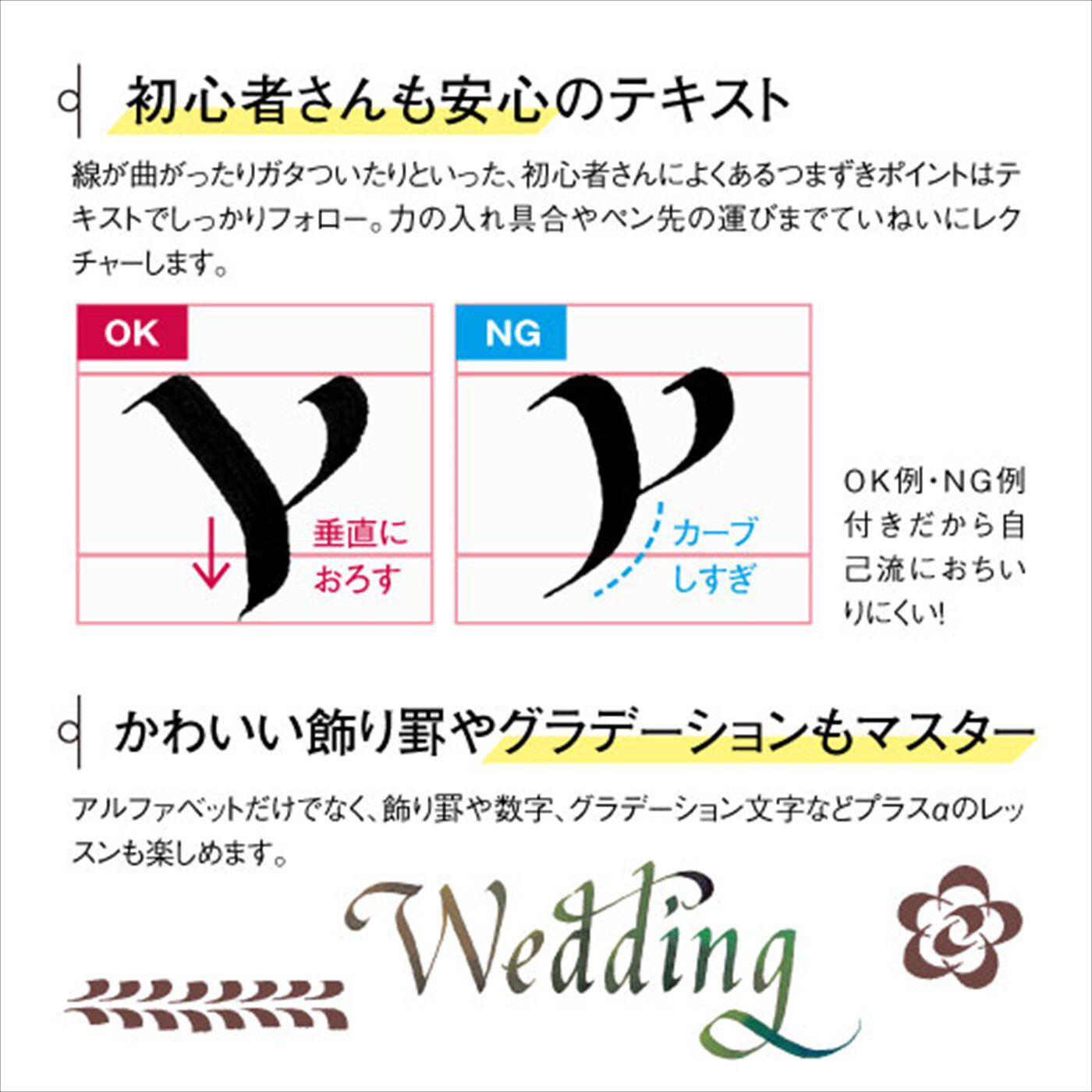 数学で使うアルファベットなどの書き方 無料記事 まなか