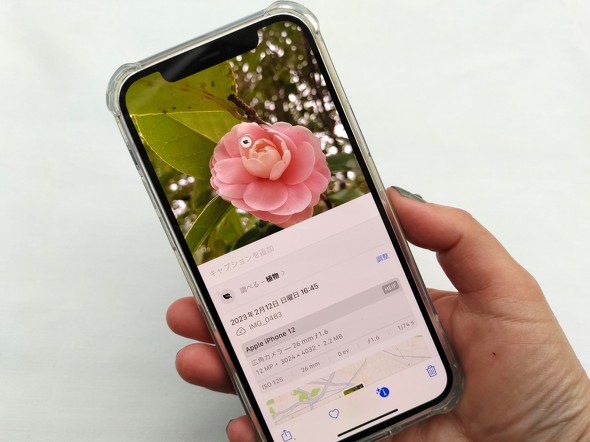Google画像検索が便利！この画像と似た「類似画像」を検索する方法ディーボのSEOラボ