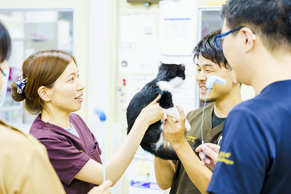 口コミ・評判 10件: 吉永動物病院 -