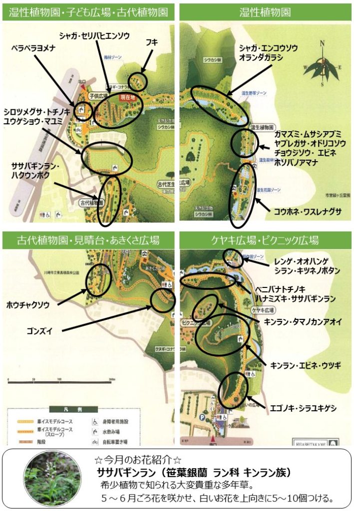 基本情報・設備 | 花水木ビル -