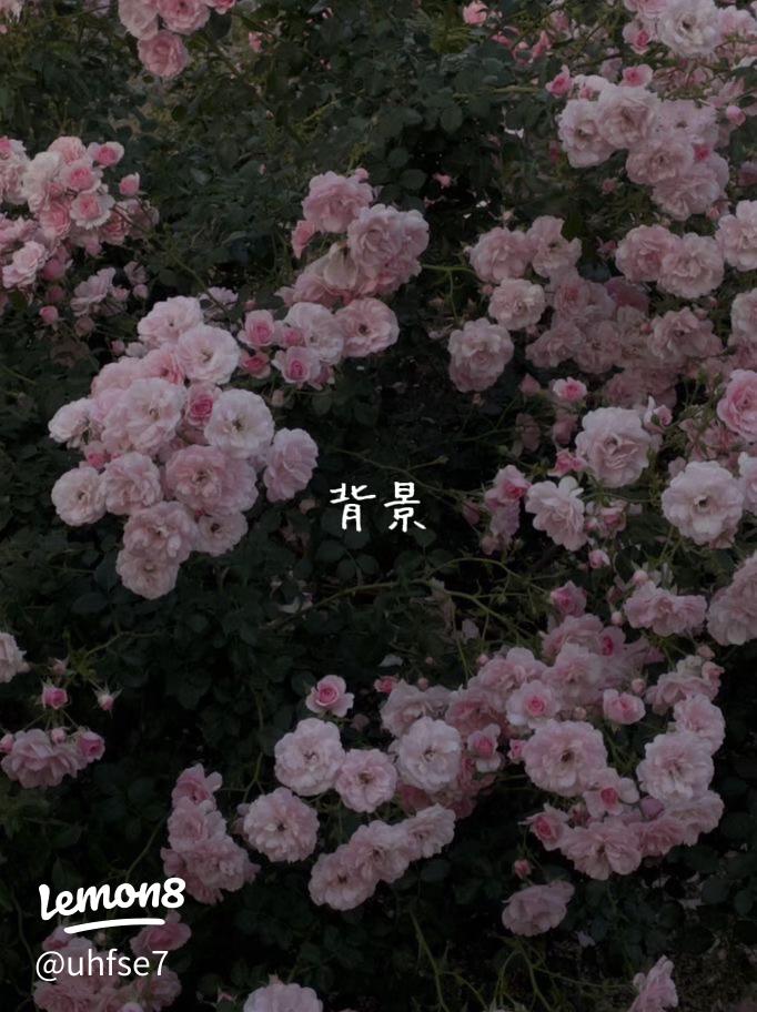 ライン 背景 フリー416 無料画像