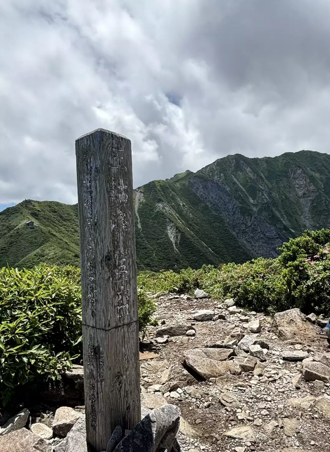 サンカヨウに会いに大山へ 6月7日 | なんでもない日バンザイ！