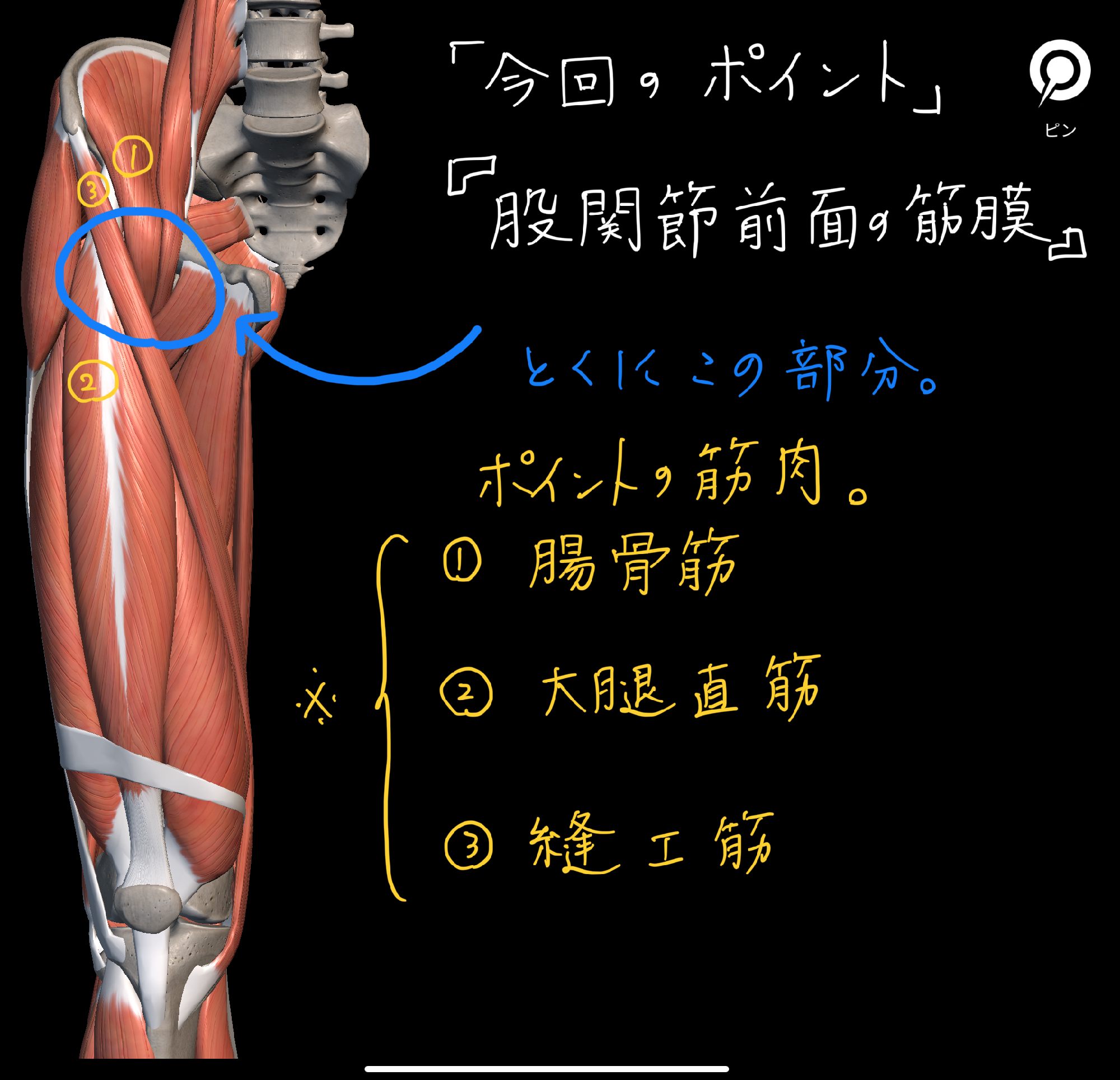 傷跡が目立たず再発を抑えた鼠径ヘルニア短期滞在手術｜茨城県つくば市で鼠径ヘルニアの手術なら筑波胃腸病院