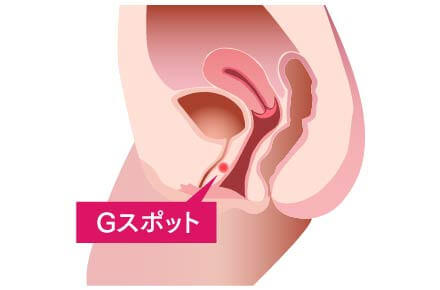 Gスポットを開発してイク方法を徹底解説！感じない女性でもイケるバイブでの刺激の仕方【快感スタイル】