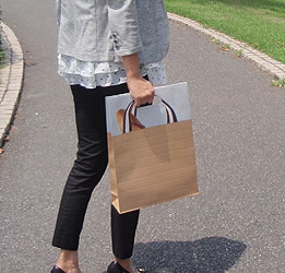 手提げ袋HX 晒無地 未晒無地 50枚入 200枚入 丸ひも マチ