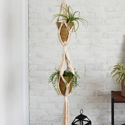 簡単DIY コロンと可愛い♪小さめグリーンが映えるコットンひもで作るハンギングポットmacrame Hangingpot：概要欄にレシピ公開中！ - YouTube