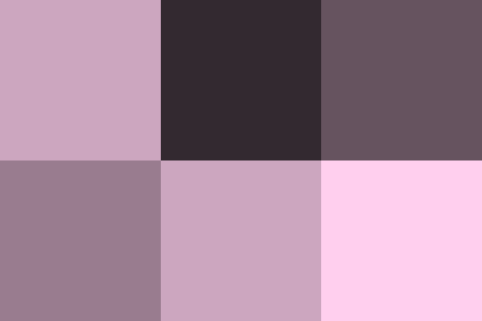 紅藤 べにふじ とは？：伝統色のいろは