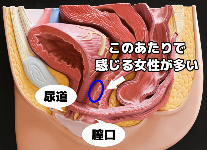 知らない人が多い？ 女性が「イク」時のサイン／ビッチ先生が教える一緒に気持ちよくなれるセックス講座⑦ | ダ・ヴィンチWeb