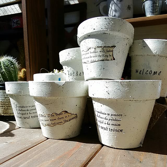 リメイク缶」の作り方アイデア15選。ガーデニング用の鉢にぴったり！ - macaroni