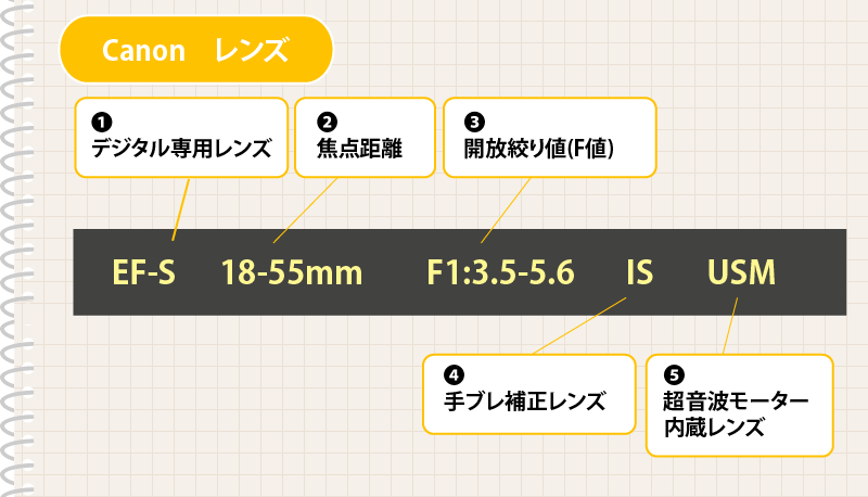 絞り ＝F値 とは？明るいレンズとボケの関係カメラ選び＆購入のポイント