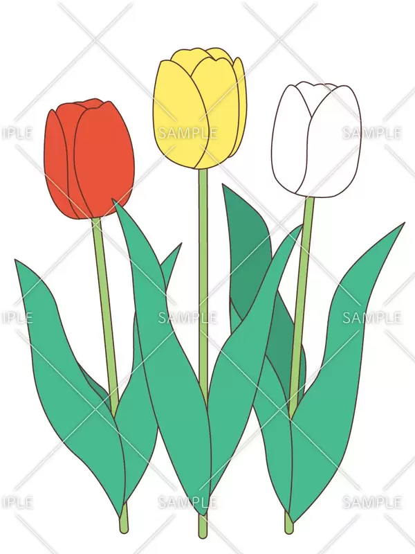 無料 お絵描きアプリおすすめ11選 無料でイラスト作成 iPad・PC対応iPhone Androidアプリ - アプリブ