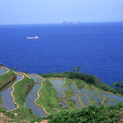 盆棚・精霊棚の作り方・飾り方・意味を解説初盆・お盆の過ごし方All About