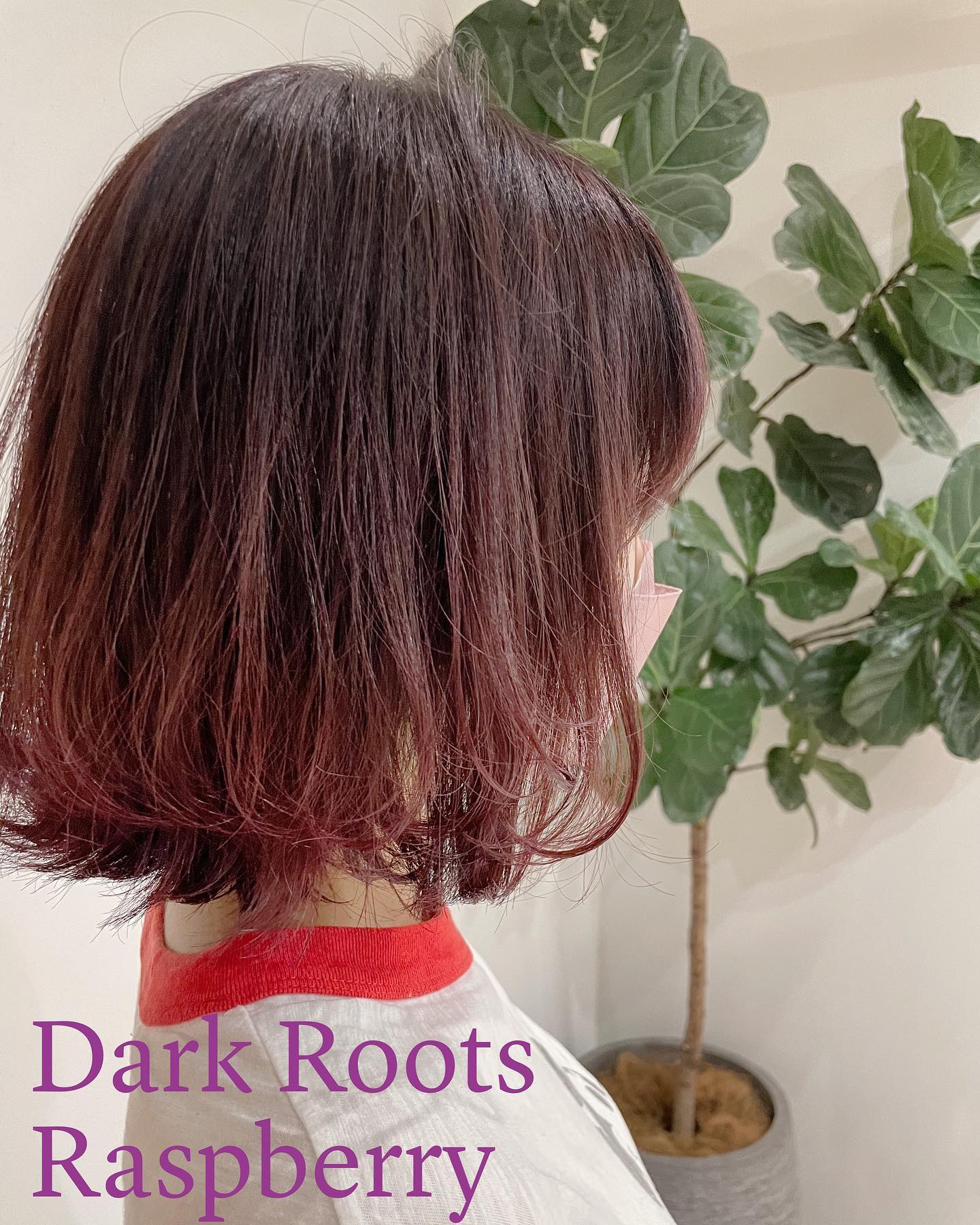 お客様.美容師さん向け動画 , バレイヤージュとシャドールーツの違いまとめ, 質問にもありましたのでまとめました。, あくまで私の現時点での,バレイヤージュとシャドールーツの考え方になります, ご参考にしてみてください。,bleachhair,balayage,balayageombre,balayagehighights,シャドールーツ,シャドールーツカラー,