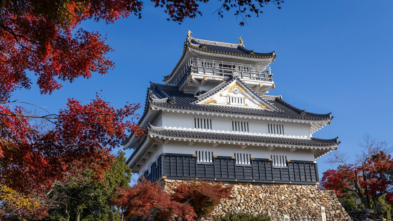 別小江神社で楽しむフォトジェニックな和風デート｜名古屋の歴史と伝統を満喫 - 縁結び大学