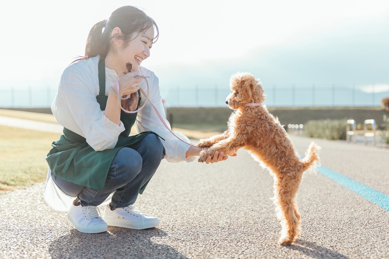 あの子のまわりはいつも楽しそう♡皆に好かれる「人懐っこい女性」の特徴＿ - モデルプレス