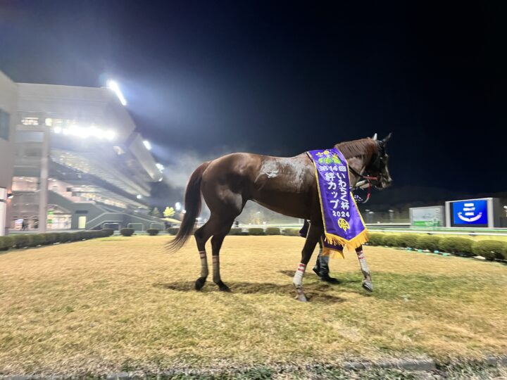 無料だけど使える競馬情報ランキング～優良メルマガ予想のオススメ | ブエナの競馬ブログ〜馬券で負けないための知識