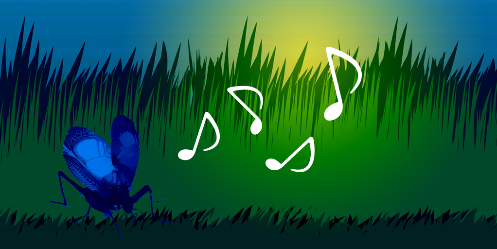 無料で手に入る効果音 風が吹く音 Sweeping wind texture著作権フリーのBGM・効果音なら 音楽素材.net