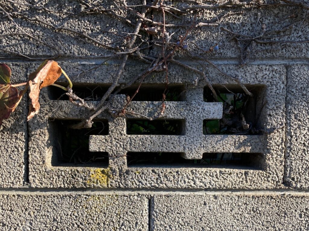 △猫△ イラスト&サイン入り もしもねこがサーカスにいったら 講談社書古四角