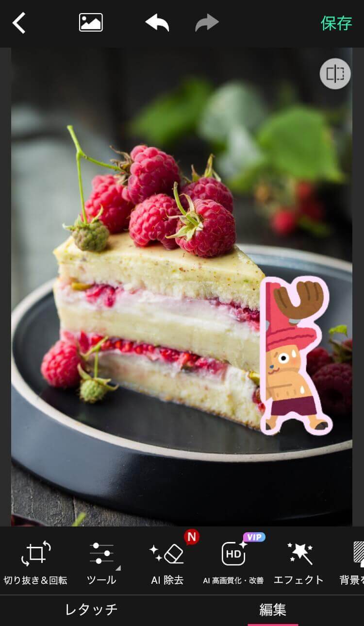 シンデレラ城の前で盛ろうとしたらコラ画像みたいな写真が撮れました disneyland