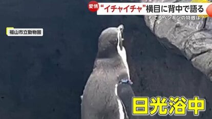 駒大の148キロ右腕・福山 副将に就任「チームにいい影響を与えられるように」― スポニチ Sponichi Annex