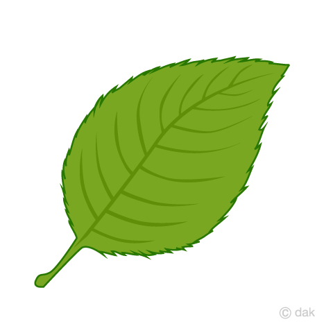 葉 水彩 葉 葉っぱ イラストイラスト素材透過、PNGフリー画像ダウンロード - Pngtree