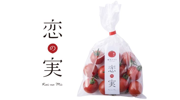 ミニトマト株式会社誠文堂新光社