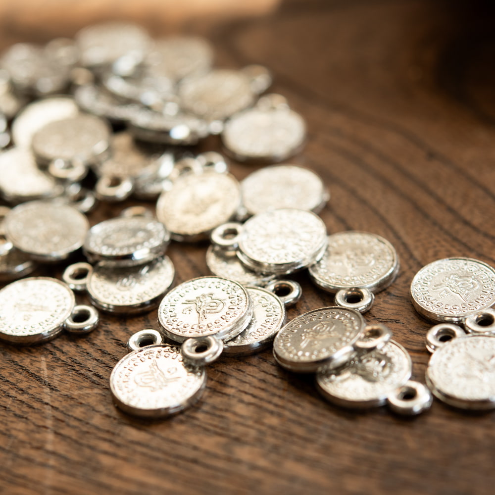 10パイサ硬貨インドコレクターズショップトモリンズ24