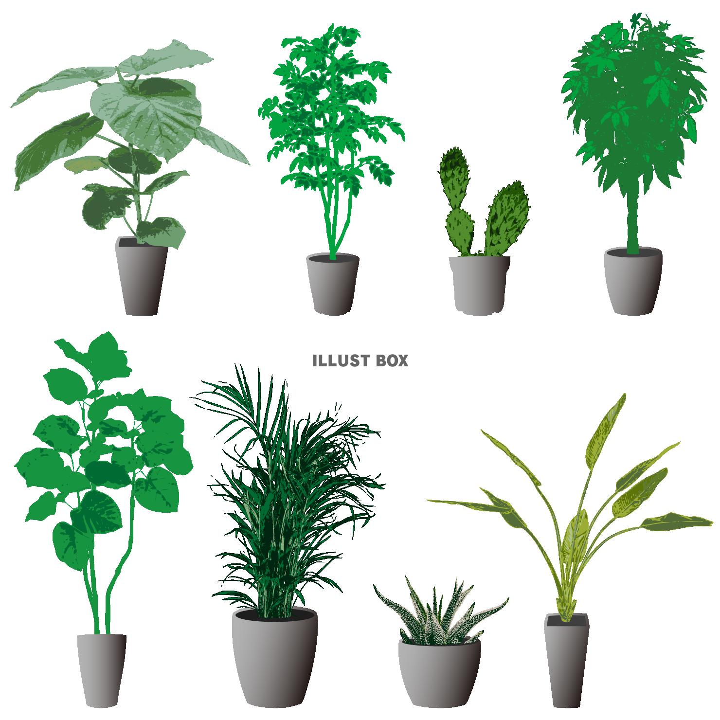 観葉植物」の写真素材3,797,069件の無料イラスト画像Adobe Stock