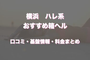 清楚 - 町田のホテヘル【ぬきなび関東】