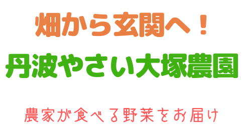 若返りのハーブ「ローズマリー」は美肌効果のある万能ハーブ