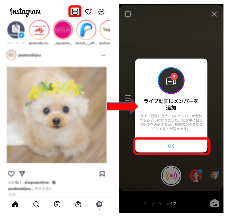 インスタライブ アイコンにする方法TikTok