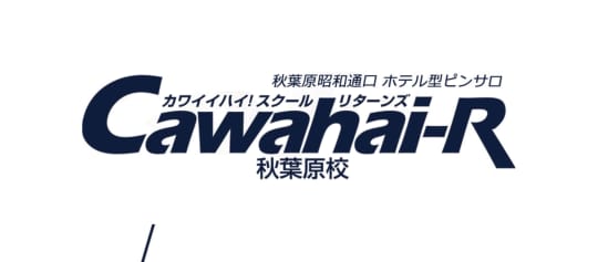 2024年本番情報】東京神田で実際に遊んできたピンサロ5選！本当にNSできるのか体当たり調査！ | otona-asobiba[オトナのアソビ場]