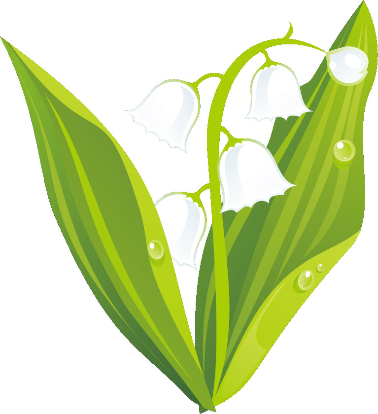 すずらん」の8.8万点のロイヤリティフリー画像、写真素材、絵Shutterstock