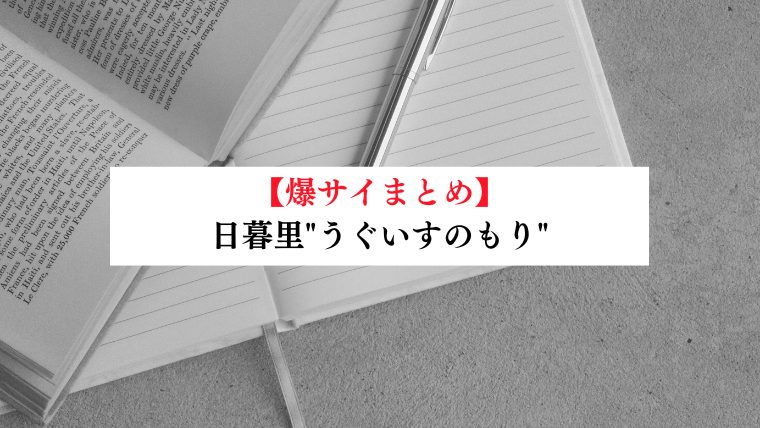 蓮田のWAX脱毛やフェイシャルエステ等のビューティーサロン『KoKo』のオーナーさん(妻共々飲 - 森いくま（モリイクマ） ｜ 選挙ドットコム