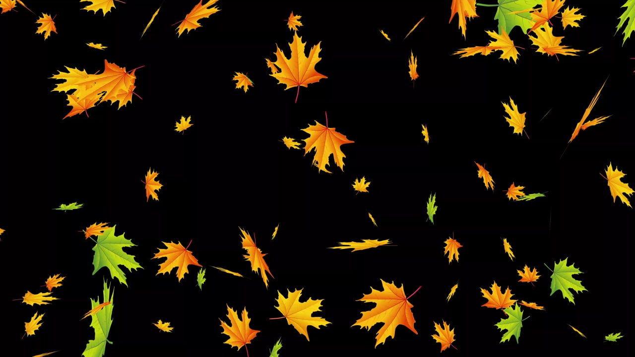 配信者必見！動く配信オーバーレイを無料で作る方法を解説 OBS- KERO NOTE