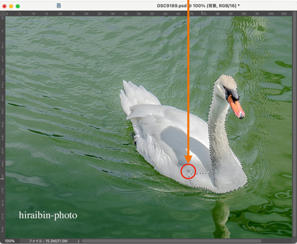 Photoshop 選択ブラシツールの使い方 範囲選択の不透明度設定が可能に！321web