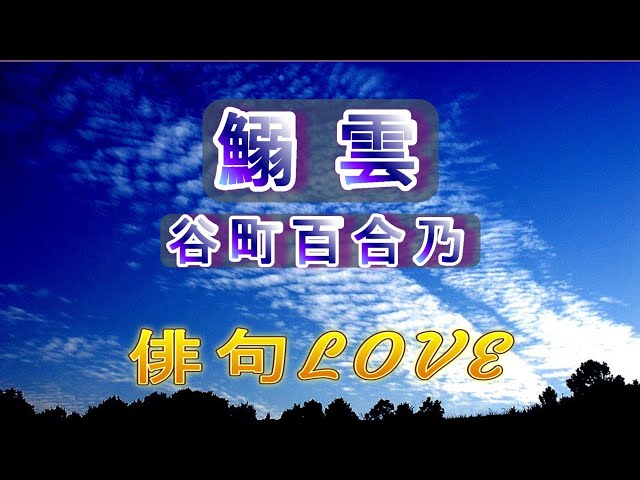 2022年8月18日「鰯雲／谷町百合乃」 俳句LOVE