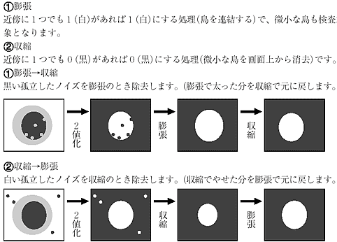 Lightroomでのノイズ除去の方法をわかりやすく解説