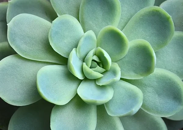 エキベリア – OPTE HomePage