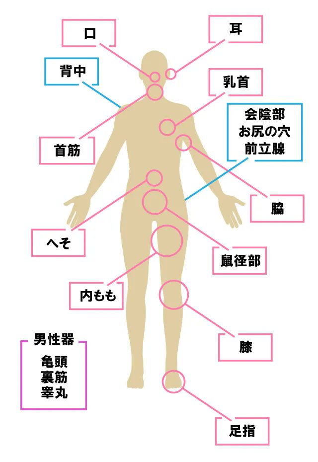 性欲とセックスの質を高める5つのツボとマッサージ法