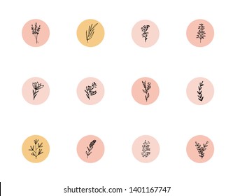 PaintPet - Instagram ハイライトを、オシャレで可愛くする