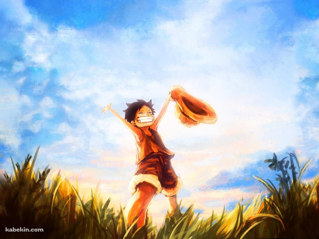 ワンピース ギア5 ルフィ ニカ