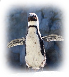 黄色と白を混ぜてぼかした鮮やかなアブストラクト背景のフレーム 背景透明のイラスト素材106207053- PIXTA